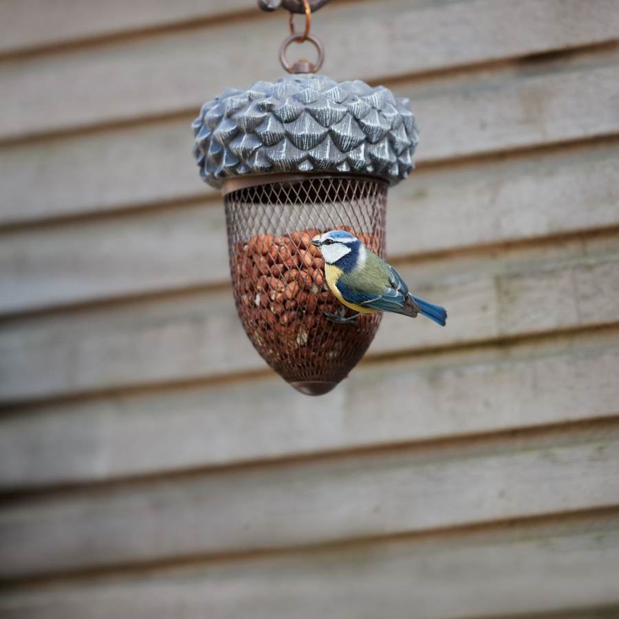 Fortress Squirrel-Proof Peanut Feeder