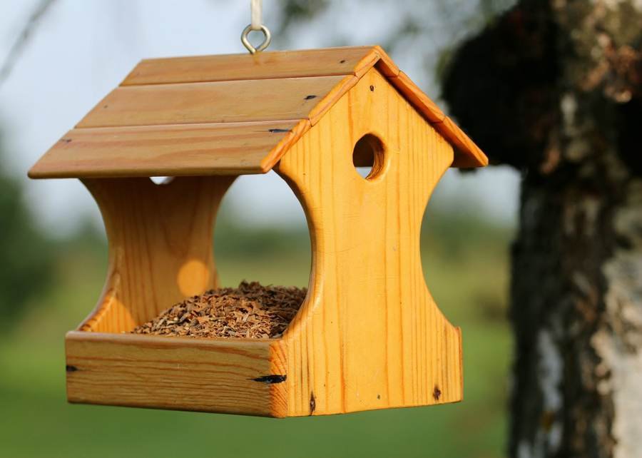 Orchard Wooden Hanging Feeder